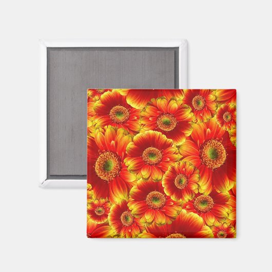 Aimant Marguerites de Gerbera jaune et orange (Recto/Verso)