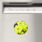 Aimant Marguerites jaunes (In Situ (Lave-vaisselle))