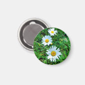 Aimant Marguerites oculaires (Recto/Verso)