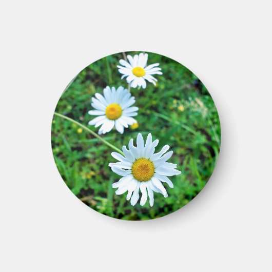 Aimant Marguerites oculaires (Devant)