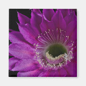 Aimant Maria Piazza fleurit (Devant)