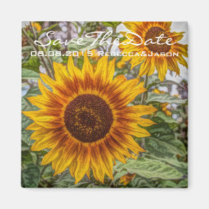 Aimant mariage de tournesol jaune du pays occidental