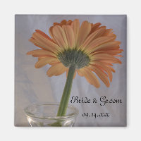 Mariage orange Daisy