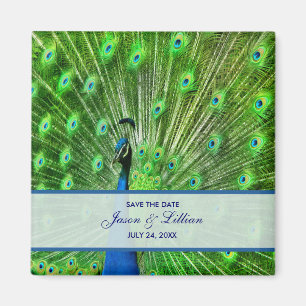 Aimant Mariage Paon Enregistrer La Date