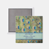 Aimant Mariage Peacock Enregistrer La Date (Recto/Verso)