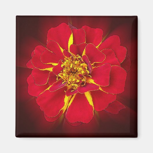 Aimant marigold rouge vif (Devant)