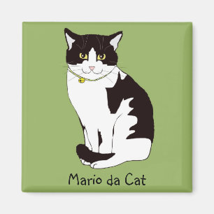 Aimant Mario da Cat