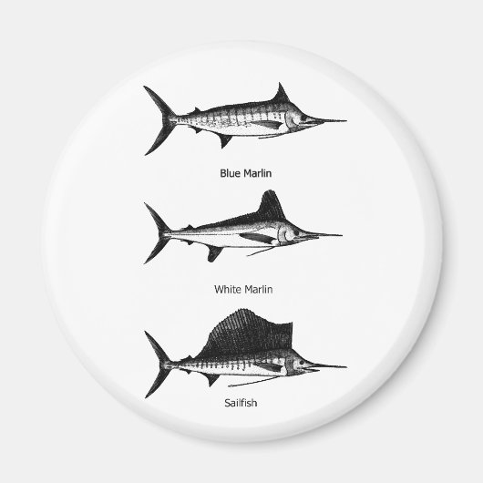 Aimant Marlin Blanc - Marlin Bleu - Logo de Sailfish (Devant)