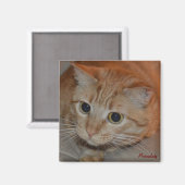 Aimant Marmalady Wide-Eyed (Recto/Verso)