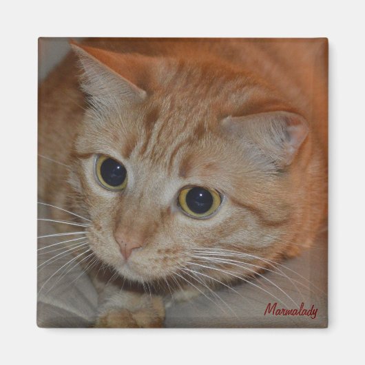 Aimant Marmalady Wide-Eyed (Devant)