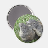 Aimant Marmot (Recto/Verso)