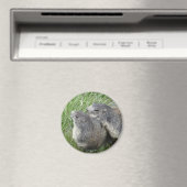 Aimant Marmot (In Situ (Lave-vaisselle))