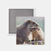 Aimant Marmotte mère avec bébé (Recto/Verso)