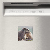 Aimant Marmotte mère avec bébé (In Situ (Lave-vaisselle))