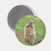 Aimant Marmotte sentinelle (Recto/Verso)