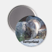Aimant Marmotte suisse (Recto/Verso)