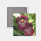 Aimant Maroon Orchids II (Recto/Verso)