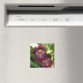 Aimant Maroon Orchids II (In Situ (Lave-vaisselle))