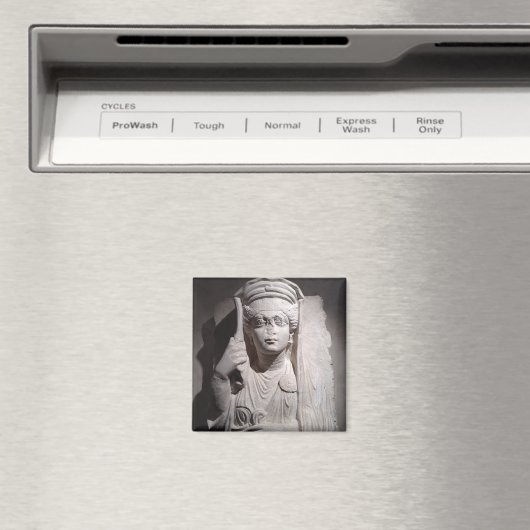 Aimant Marqueur de sépulture (In Situ (Lave-vaisselle))