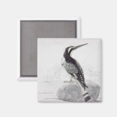 Aimant Martin-pêcheur noir et blanc (Recto/Verso)