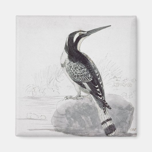 Aimant Martin-pêcheur noir et blanc (Devant)