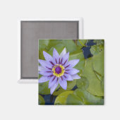 Aimant Martinique, Antilles françaises, Antilles occident (Recto/Verso)