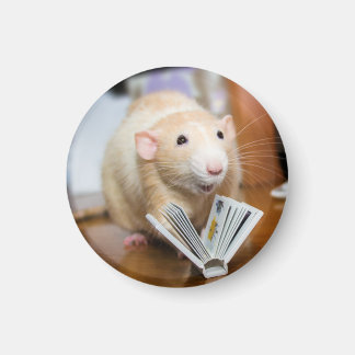 Aimant Marty Mouse aime lire l'aimant