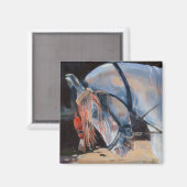 Aimant Marwari Horse Rajasthan 2010 (Recto/Verso)