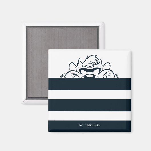 Aimant Masquage TAZ™ Dans Les Tracées (Recto/Verso)