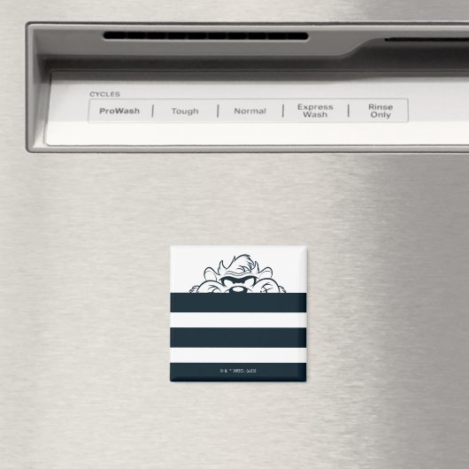 Aimant Masquage TAZ™ Dans Les Tracées (In Situ (Lave-vaisselle))