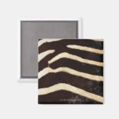 Aimant Masque Zebra (Recto/Verso)