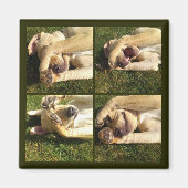 Aimant Masquer et rechercher le chiot (Devant)