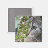 Aimant Masquer l'aimant Kitten (Recto/Verso)