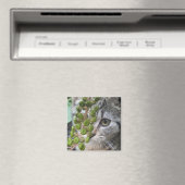 Aimant Masquer l'aimant Kitten (In Situ (Lave-vaisselle))