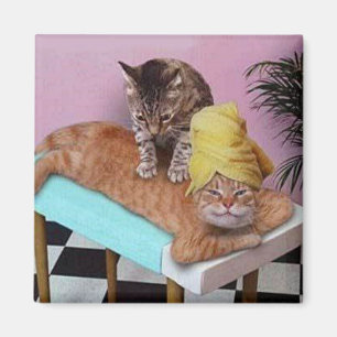 Aimant Massage drôle de chat