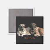 Aimant Mastiff Best Friends (Recto/Verso)