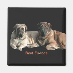 Aimant Mastiff Best Friends