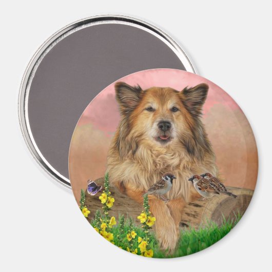 Aimant Matériau de souris (Recto/Verso)