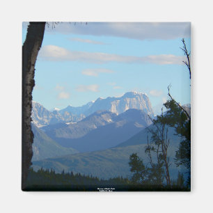Aimant Matin à l'aimant de la dent de l'orignal