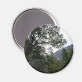 Aimant Matin sur le sentier à Vernal Falls à Yosemite (Recto/Verso)