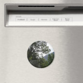 Aimant Matin sur le sentier à Vernal Falls à Yosemite (In Situ (Lave-vaisselle))