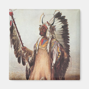 Aimant Mato-Tope, Portrait d'un chef Mandan par Karl Bodm