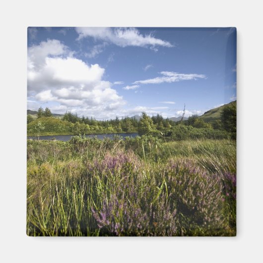 Aimant Matrice Heathland (Devant)