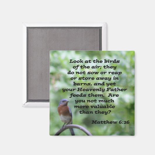 Aimant Matthieu 6:26 (Recto/Verso)