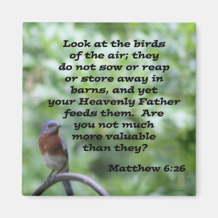 Aimant Matthieu 6:26