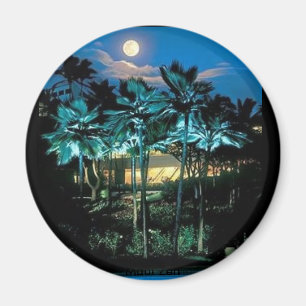 Aimant Maui parfait