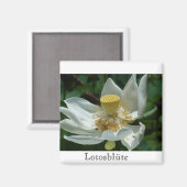 Aimant Maurice (Recto/Verso)