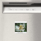 Aimant Maurice (In Situ (Lave-vaisselle))