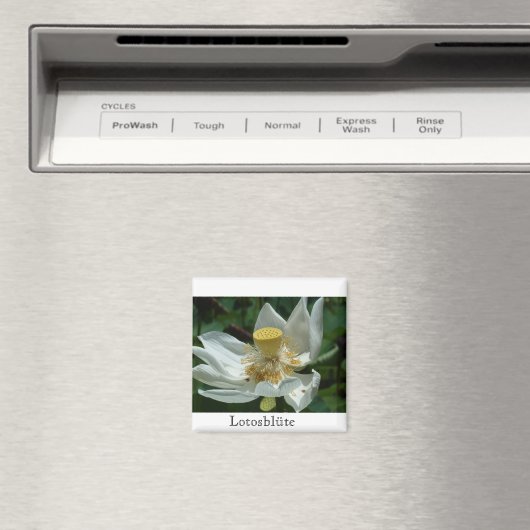 Aimant Maurice (In Situ (Lave-vaisselle))