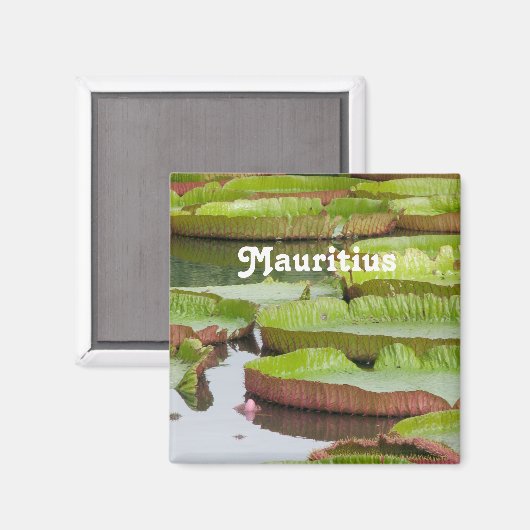 Aimant Maurice Lily Pads (Recto/Verso)